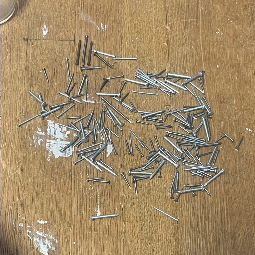 Assorted Small Trim Nails